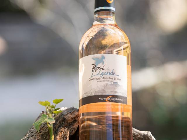 Reportage corporate au cœur des vignobles de Gonfaron