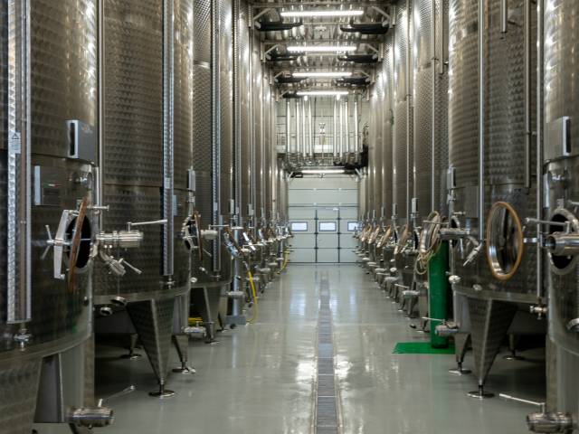 Reportage corporate au cœur des vignobles de Gonfaron