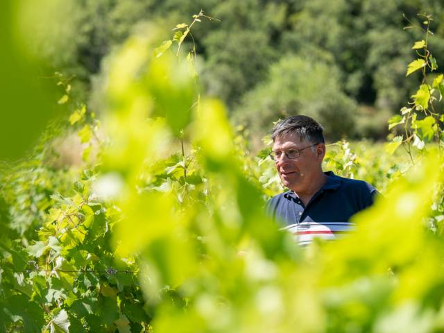 Reportage corporate au cœur des vignobles de Gonfaron