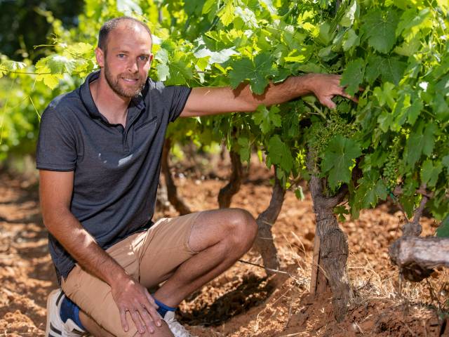 Reportage corporate au cœur des vignobles de Gonfaron